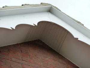 Mesh put up to prevent birds nesting