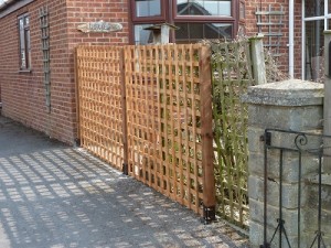 New posts and trellis erected